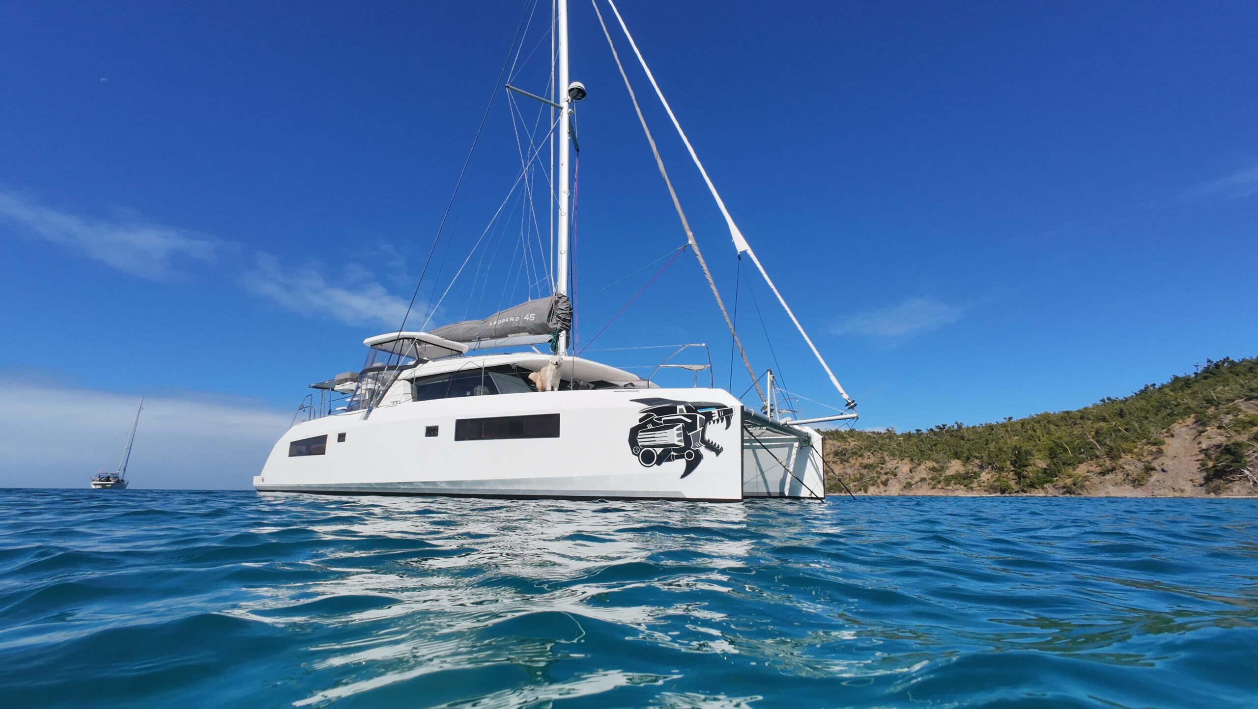 Sailing to Different Countries with Pets Aboard