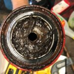 Diesel bug on a fuel filter