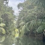 Caribbean Island of Dominica